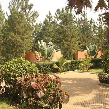 Saltek Forest Cottages Masindi Eksteriør bilde