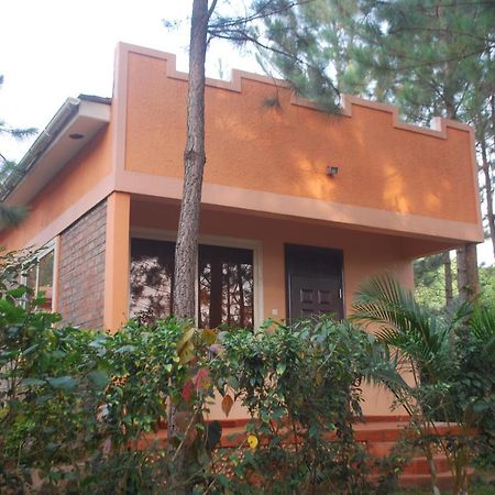 Saltek Forest Cottages Masindi Eksteriør bilde