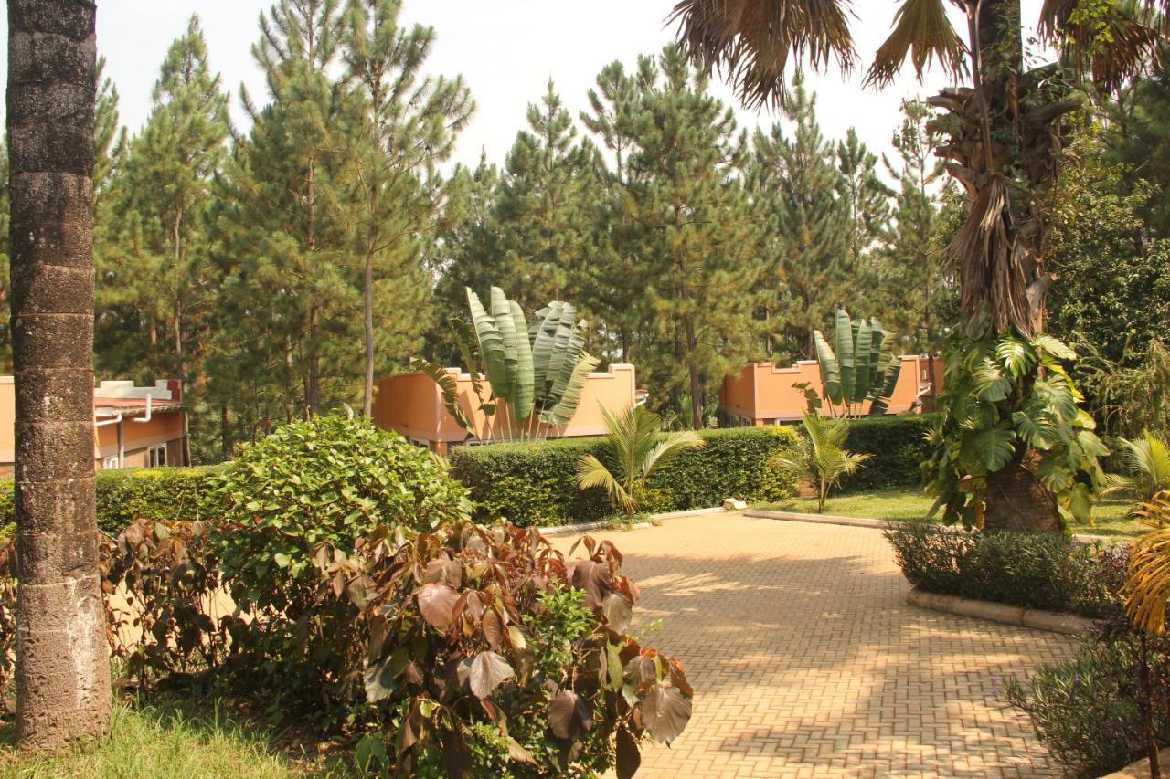 Saltek Forest Cottages Masindi Eksteriør bilde