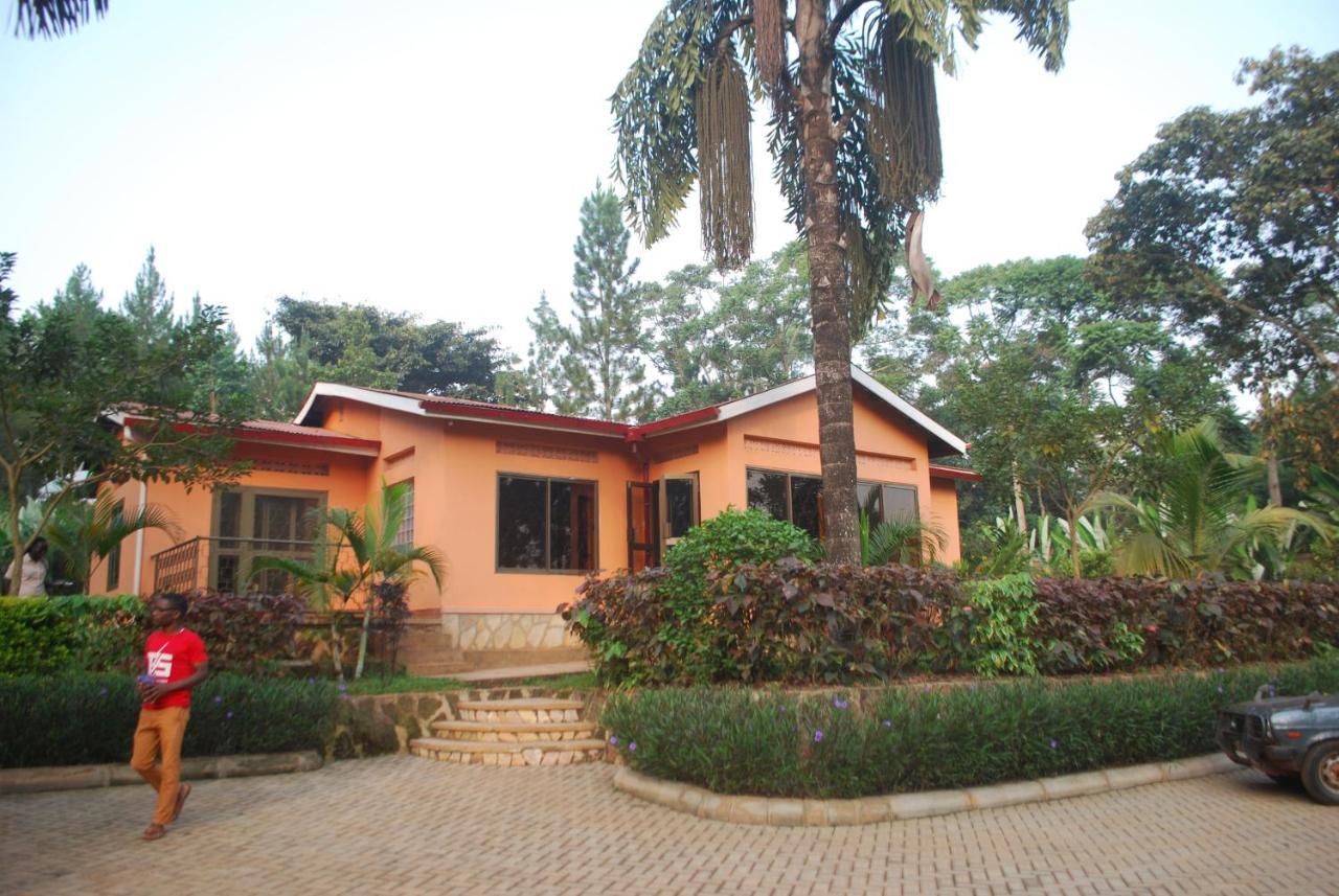 Saltek Forest Cottages Masindi Eksteriør bilde