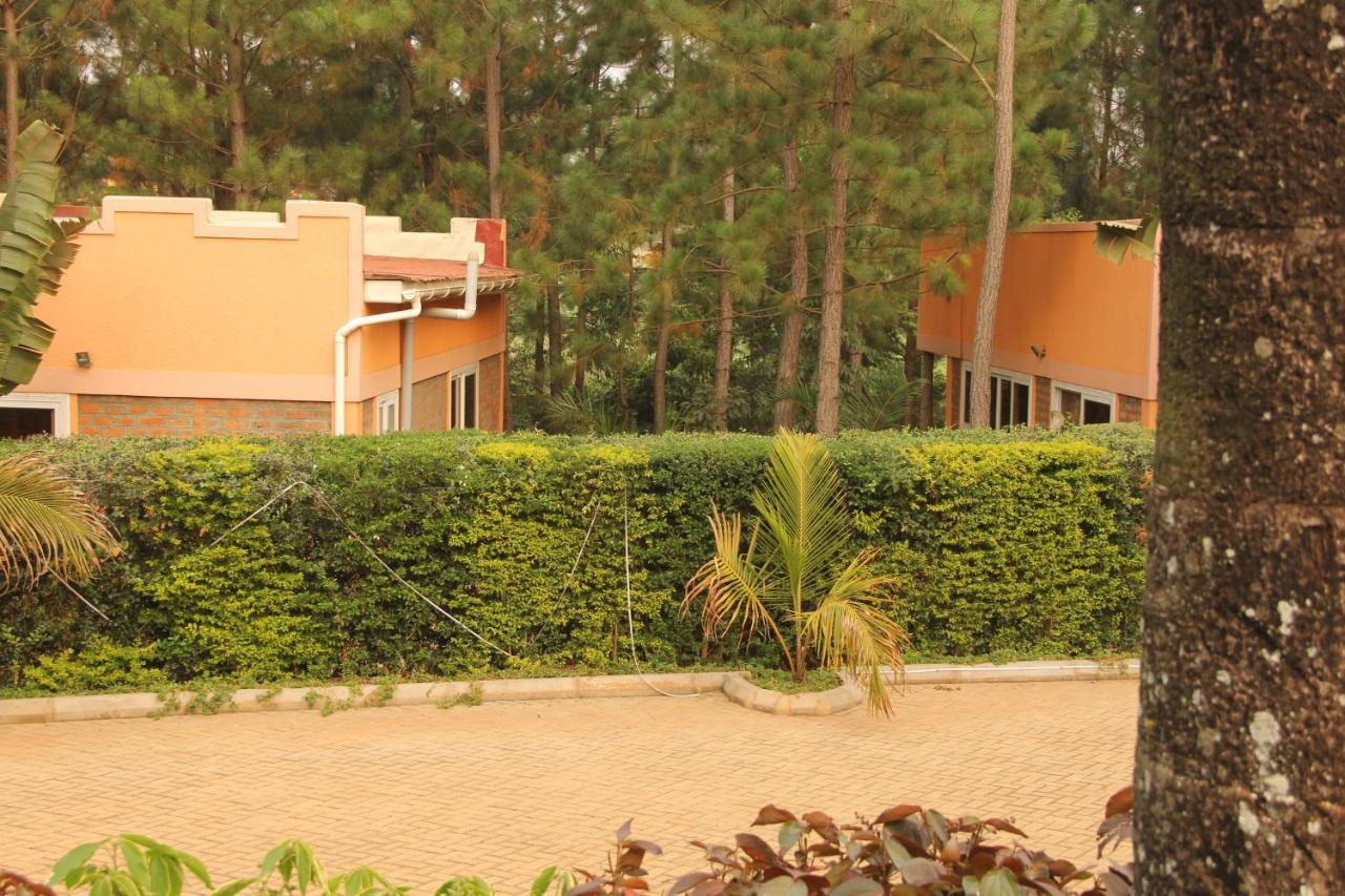 Saltek Forest Cottages Masindi Eksteriør bilde