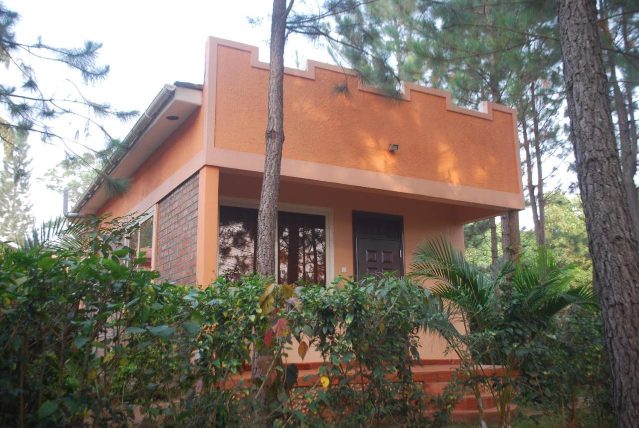 Saltek Forest Cottages Masindi Eksteriør bilde